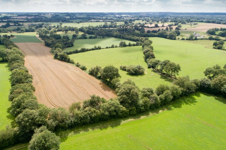 LA HAIE, UN TRÉSOR DU PERCHE