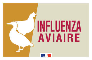 INFLUENZA AVIAIRE: RISQUE ÉLEVÉ